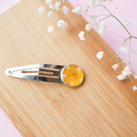 Spinka & jaskier polny